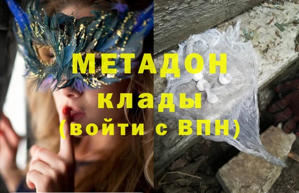 прущие грибы Алексин