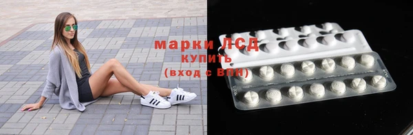 прущие грибы Алексин