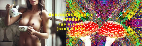 прущие грибы Алексин