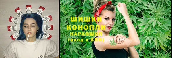 прущие грибы Алексин